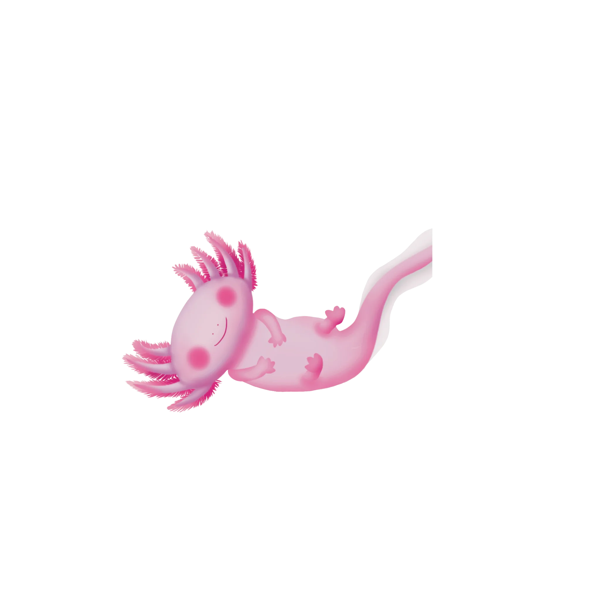 Axolotl illustré sans regard — livre islamique pour enfant Mini Qalam