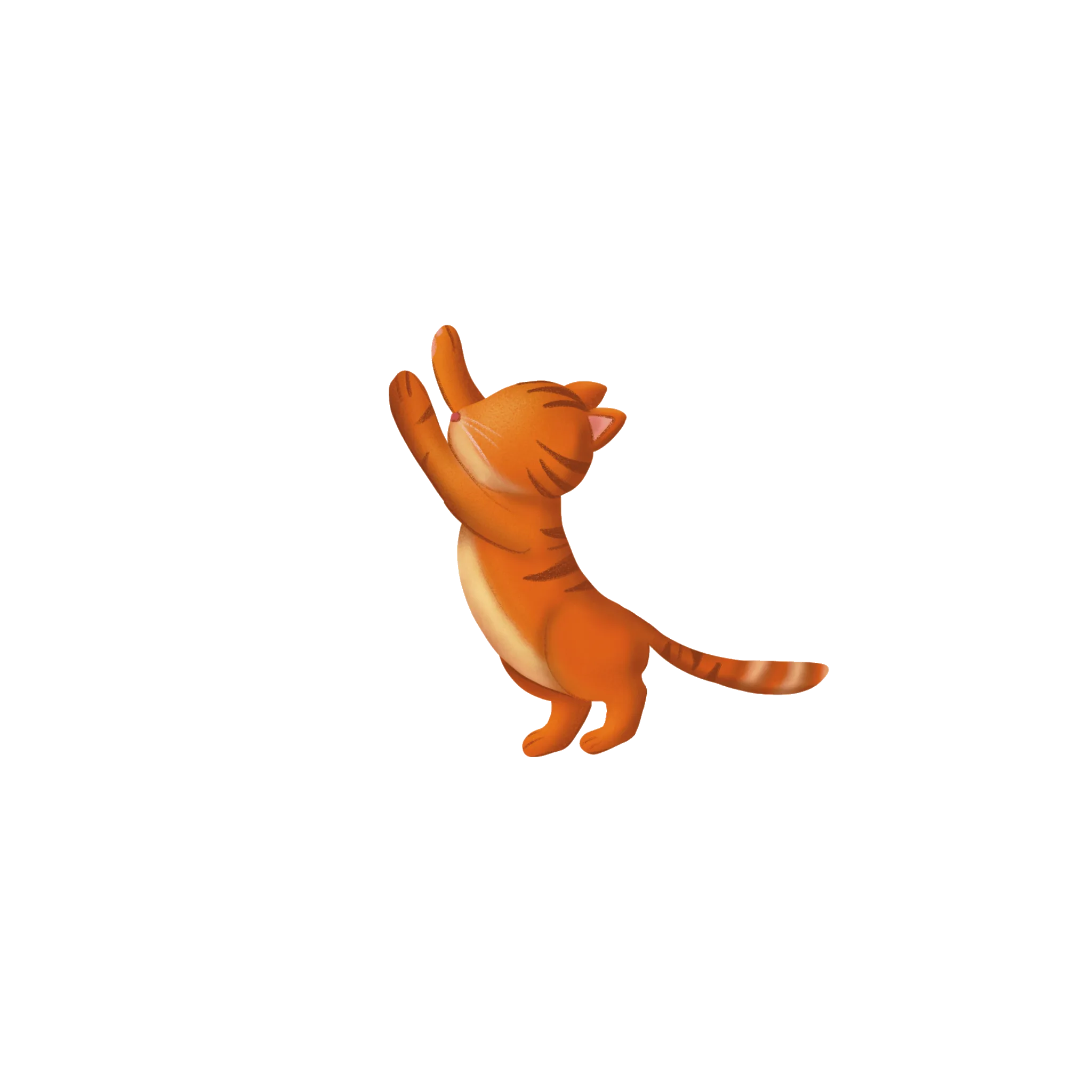 Chat illustré sans regard — illustration de livre pour enfant musulman